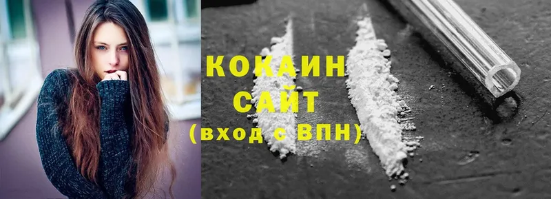 где можно купить   Гатчина  дарк нет формула  КОКАИН FishScale 